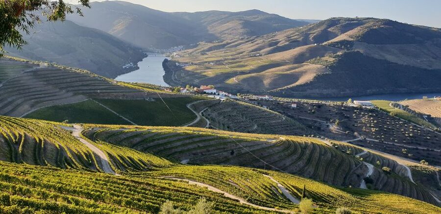 Douro Private Tour – Customizable Experience - Villages, local food, and room to wander