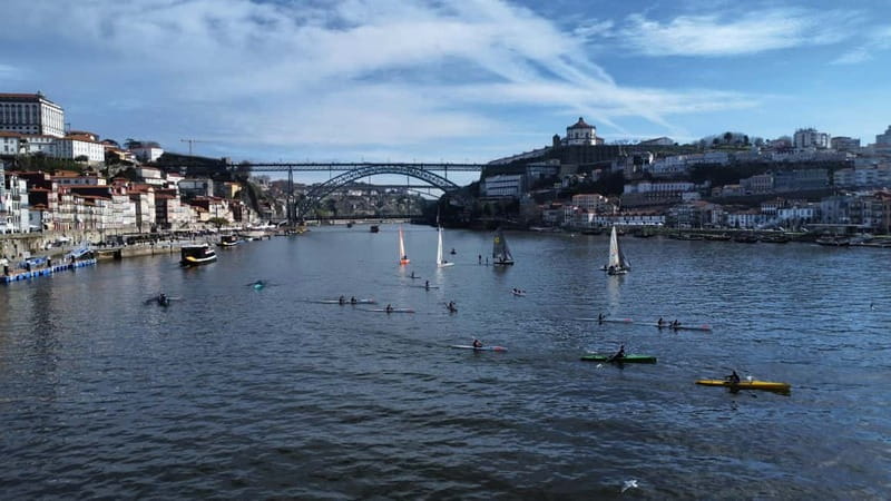 Douro River Kayak or Standup Paddleboard Tour - Launching at Marina do Freixo