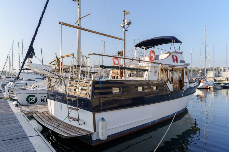 Douro River: Party Boat Tour - The bridge route, from Arrabida to Freixo