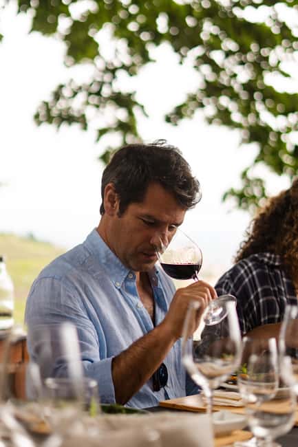 Douro Valley: A Sensory Experience in the Douro: Wines, Olive Oil, and History - Buying directly from the estate