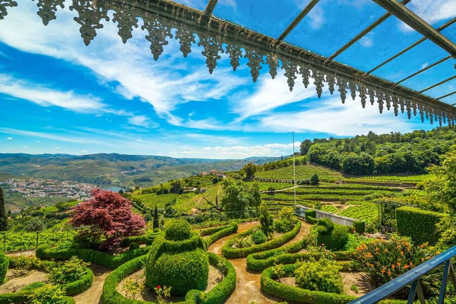 Douro Valley: A Sensory Experience in the Douro: Wines, Olive Oil, and History - The gardens bring a surprise