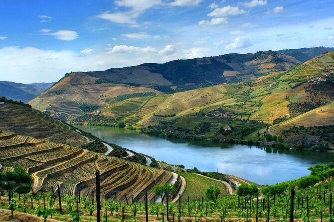 Douro Valley and Régua Panoramic Cruise with Lunch from Porto - Six hours of river scenery from Régua to Porto