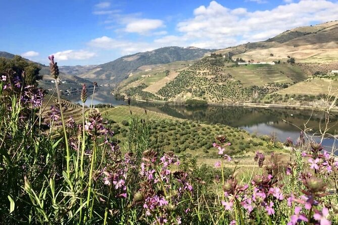 Douro Valley and Régua Panoramic Cruise with Lunch from Porto - Passing through Carrapatelo Lock