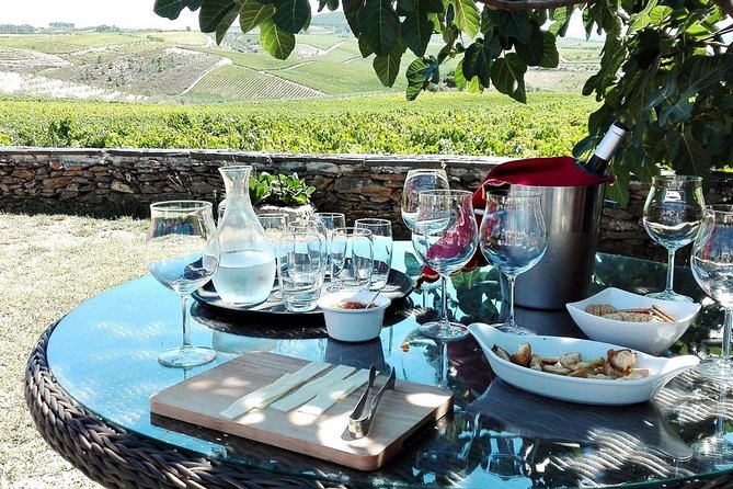 Douro Valley Best-Of Private Tour – Fully Customizable Experience - Why this private Douro day works so well