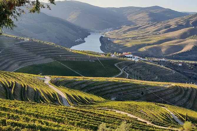 Douro Valley Best-Of Private Tour – Fully Customizable Experience - Provesende, lunch, and a village walk