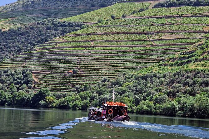 Douro Valley-Expert Guide-Boat-Lunch-Tastings-Offer wine bottle - Why this Douro Valley tour works well from Porto