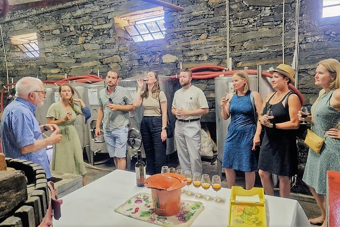 Douro Valley-Expert Guide-Boat-Lunch-Tastings-Offer wine bottle - The morning drive through Amarante and Vila Real
