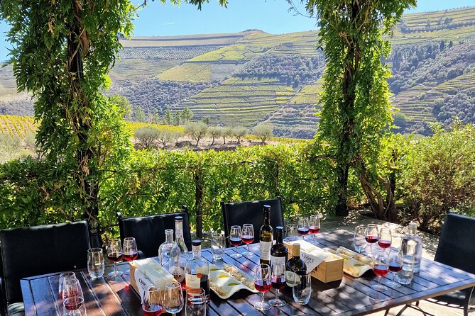 Douro Valley-Expert Guide-Boat-Lunch-Tastings-Offer wine bottle - A Rabelo boat brings the river into the day