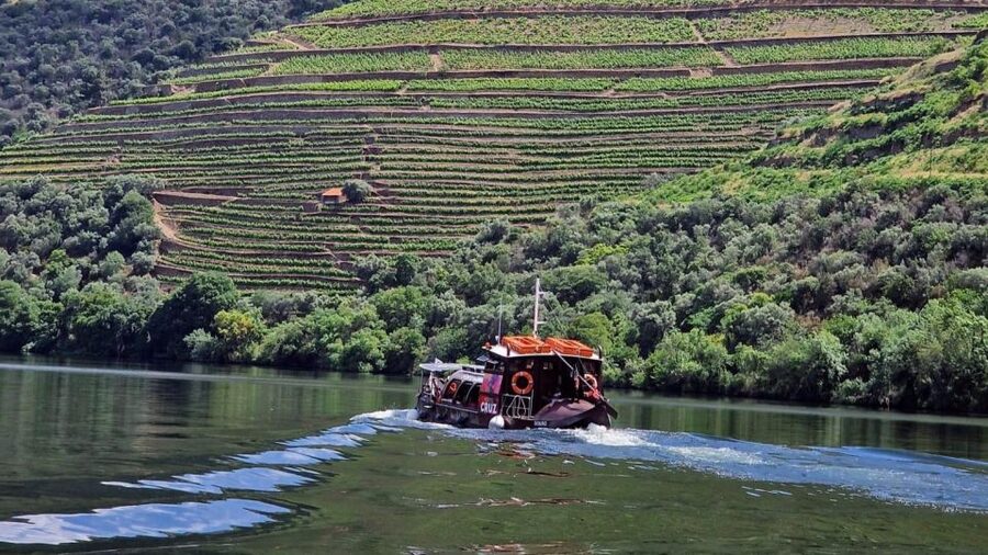 Douro Valley-Expert Guide-Boat-Lunch-Tastings PremiumService - Why this Douro day works so well