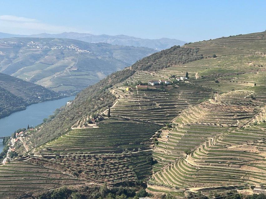 Douro Valley-Expert Guide-Boat-Lunch-Tastings PremiumService - A proper regional lunch with wine included