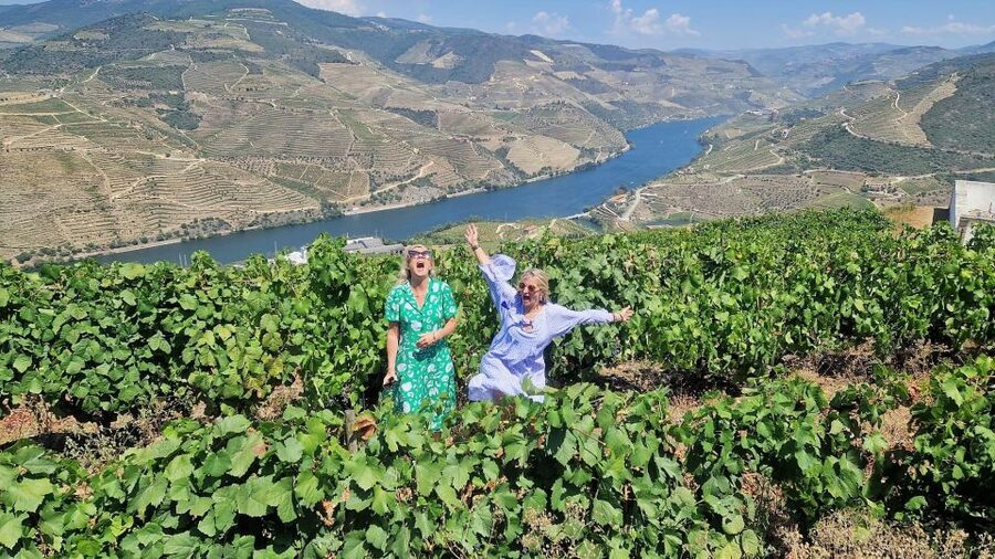 Douro Valley-Expert Guide-Boat-Lunch-Tastings PremiumService - Is $234 a fair price?