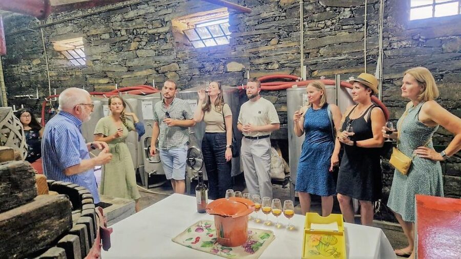 Douro Valley-Expert Guide-Boat-Lunch-Tastings PremiumService - First views of the valley