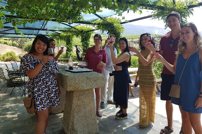 Douro Valley for Wine Lovers with Visit to 4 Wineries and Lunch - Key points before you book