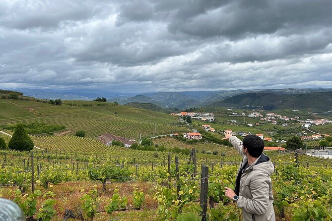 Douro Valley for Wine Lovers with Visit to 4 Wineries and Lunch - Is $205.67 a fair price?