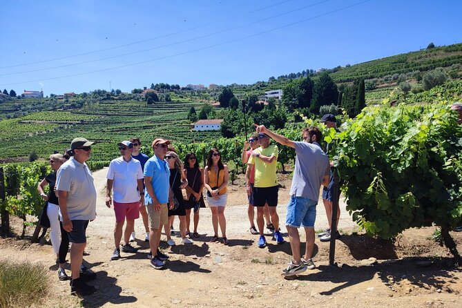 Douro Valley for Wine Lovers with Visit to 4 Wineries and Lunch - Why the Douro Valley is worth a day