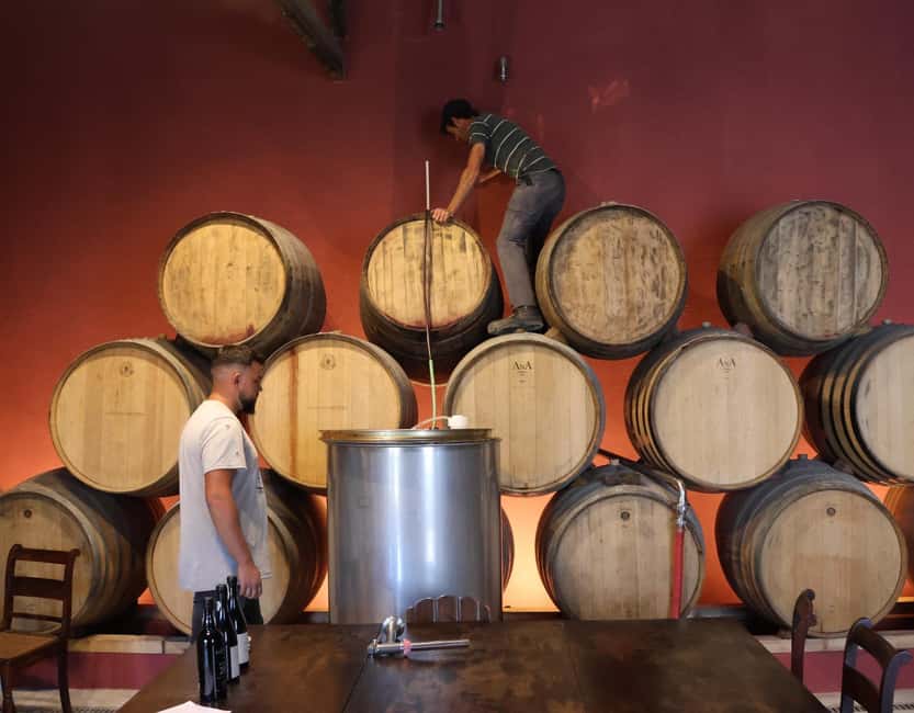 Douro Valley: Half-Day, with 1 winery & 1-h boat tour - Booking tips before you go