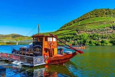Douro Valley: Historical Sites, Wine Experience, Lunch & Cruise