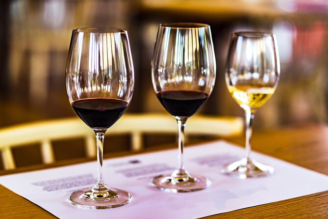 Douro Valley: Historical Sites, Wine Experience, Lunch & Cruise - The N222 and the road through the valley