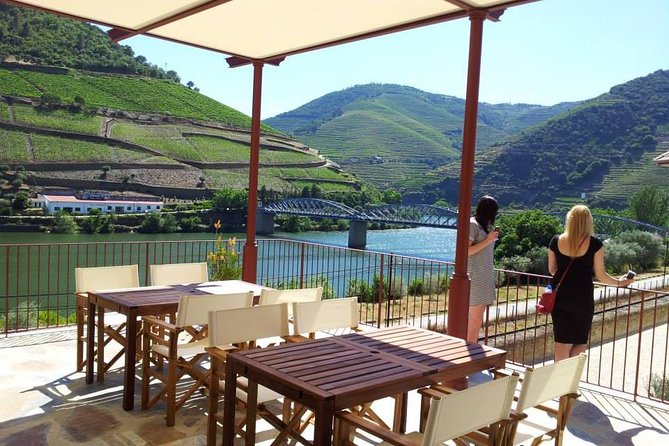 Douro Valley: Historical Sites, Wine Experience, Lunch & Cruise - Pinhão vineyard visit and three-wine tasting