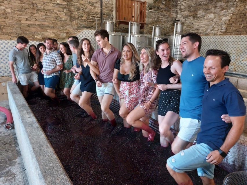 Douro Valley: (Pinhão) Quinta da Foz - Tour&Tasting 5 WINES - Key points