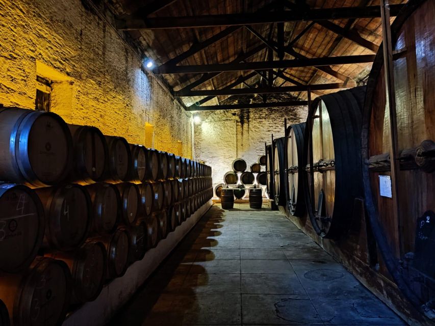 Douro Valley: (Pinhão) Quinta da Foz - Tour&Tasting 5 WINES - The cellar and its giant casks