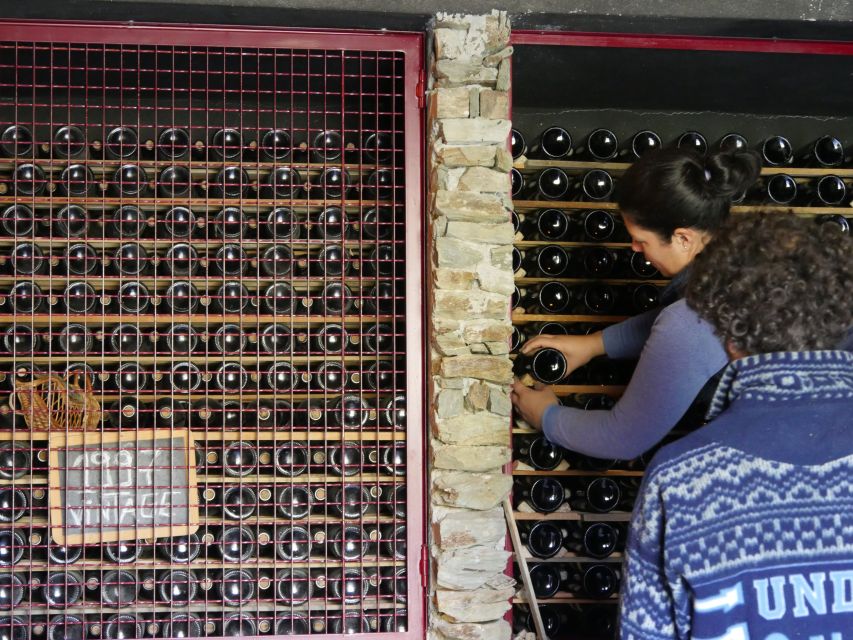 Douro Valley: Premium Port Tasting Winery Tour & River Views - Key points to know before you go