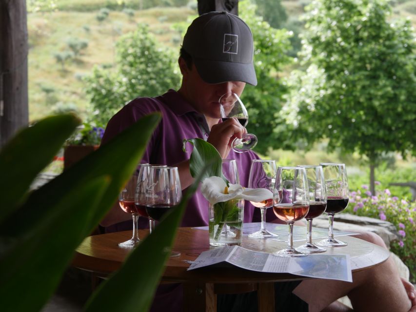 Douro Valley: Premium Port Tasting Winery Tour & River Views - Why this winery visit works well in the Douro Valley