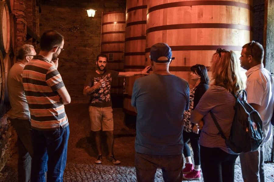 Douro Valley: Premium Port Tasting Winery Tour & River Views - Choosing between Porto and DOC wine