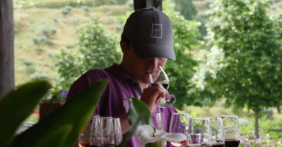 Douro Valley: Premium Port Tasting Winery Tour & River Views - Starting in the 18th-century cellars