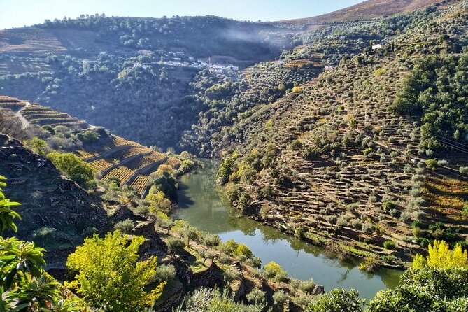 Douro Valley Prime Tour: Wine Tastings, Boat & Lunch from Porto - From Porto to the first green vineyards