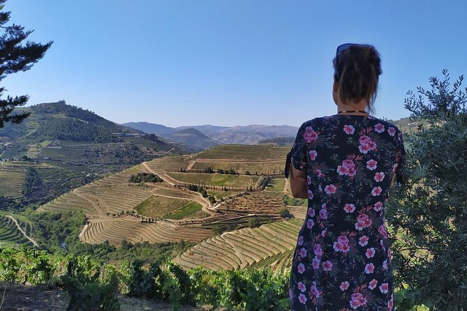 Douro Valley Prime Tour: Wine Tastings, Boat & Lunch from Porto - A long lunch with local wine