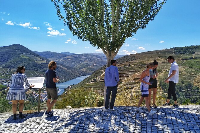 Douro Valley Prime Tour: Wine Tastings, Boat & Lunch from Porto - Seeing the Douro from a small boat