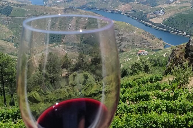 Douro Valley — Private UNESCO Wine & Cultural Experience - Reaching the Douro River after an 8:00 am start