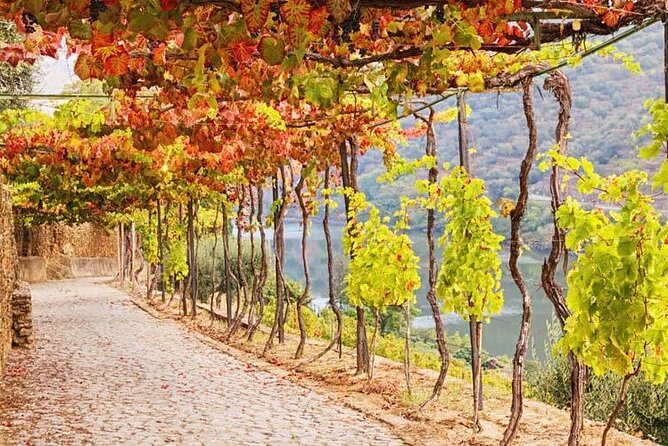 Douro Valley — Private UNESCO Wine & Cultural Experience - What the private format adds to the price