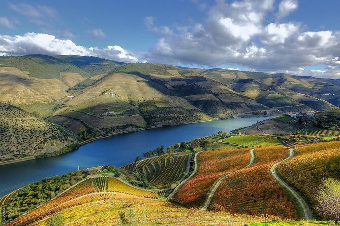 Douro Valley — Private UNESCO Wine & Cultural Experience - Who will enjoy this day most