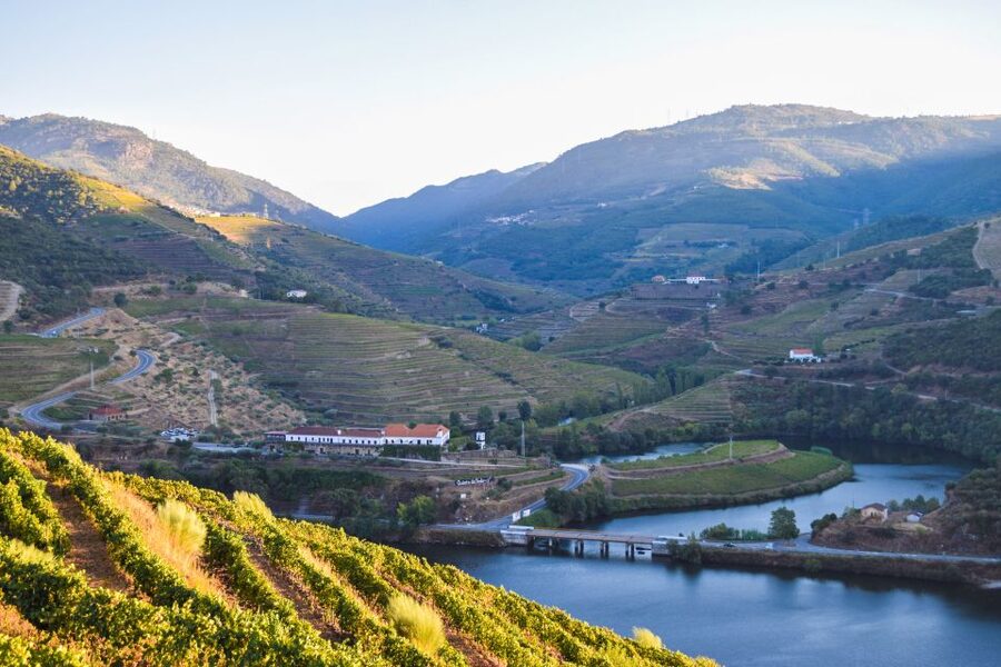 Douro Valley: Quinta do Tedo Wine Experience with Picnic - Key points to know