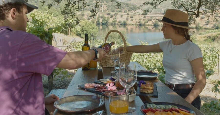 Douro Valley: Quinta do Tedo Wine Experience with Picnic - Choosing between red, rosé, and white