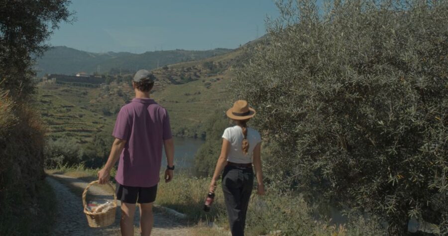 Douro Valley: Quinta do Tedo Wine Experience with Picnic - What arrives in the picnic basket