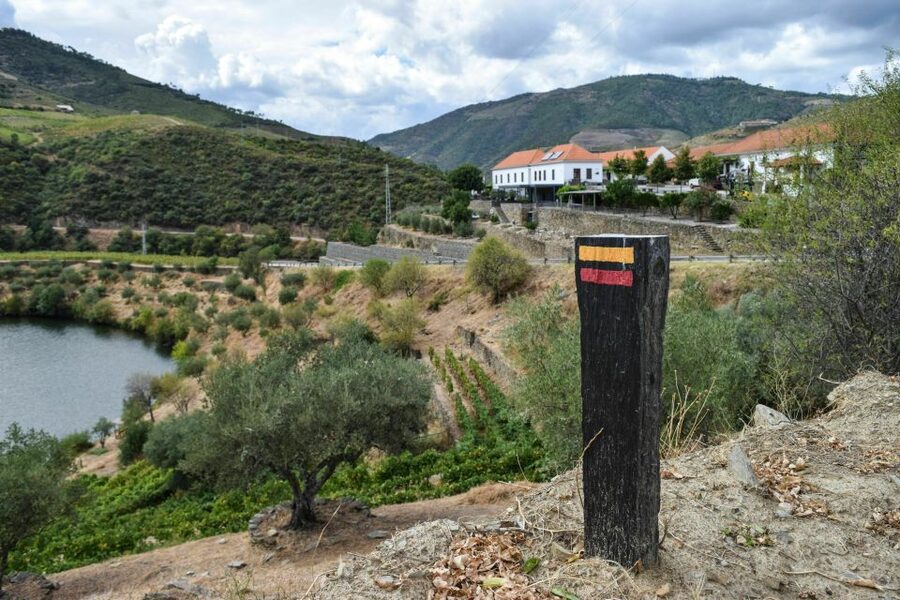 Douro Valley: Quinta do Tedo Wine Experience with Picnic - Starting at the vinification center and cellars