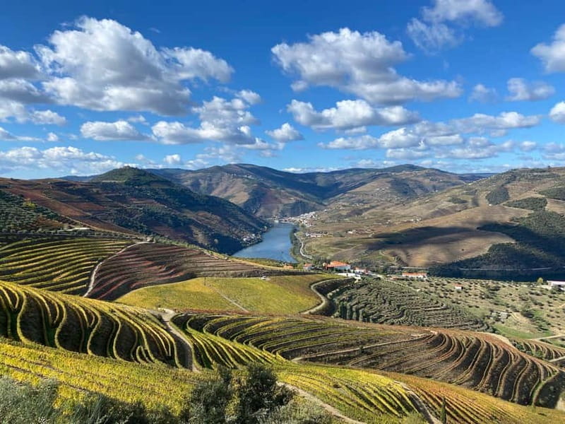 Douro Valley: Small-Group Tour, Winery's Lunch, Private Boat - Who should book this Douro Valley experience?
