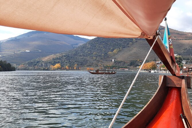 Douro Valley Tour - 3 Wine tastings, Lunch & river Cruise - Amarante, Vinho Verde, and a village walk