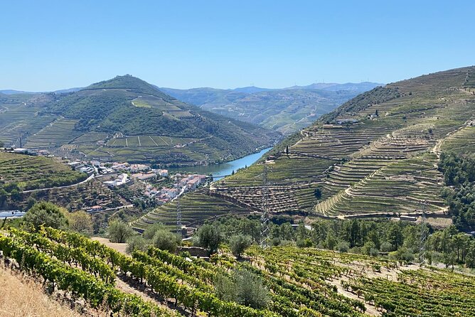 Douro Valley Tour - 3 Wine tastings, Lunch & river Cruise - Who should book this tour?