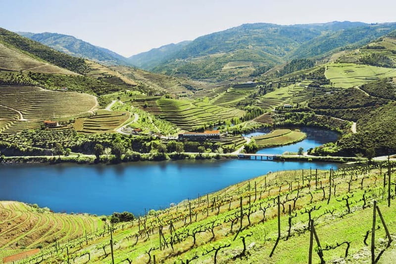 Douro Valley Tour: Visit 2 Wineries, Lunch & River Cruise - Why the Douro Valley Works as a Day Trip from Porto