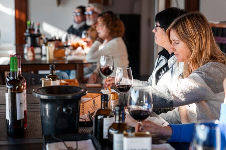 Douro Valley Tour: Visit 2 Wineries, Lunch & River Cruise - The N222 Return Route and Photo Stops