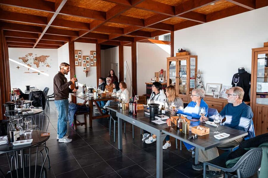 Douro Valley Tour: Visit 2 Wineries, Lunch & River Cruise - Is $116 a Fair Price?
