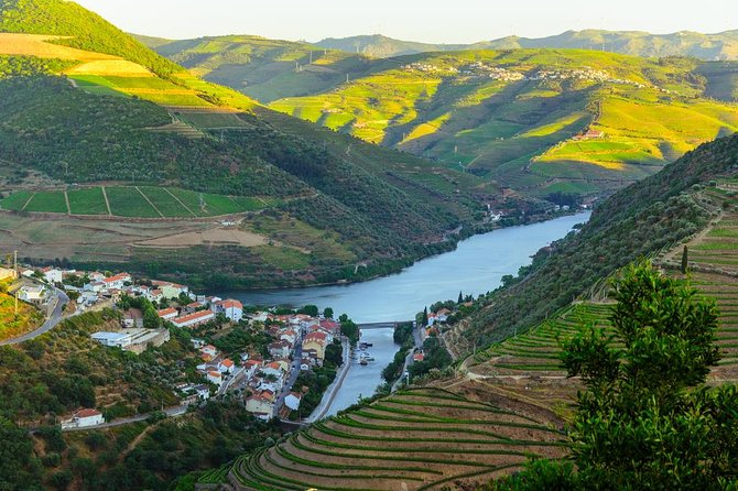 Douro Valley Tour: Wine Tasting, Cruise and Lunch from Porto - What to expect from the two Port tastings