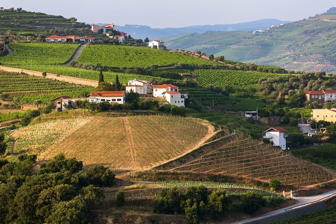 Douro Valley Tour: Wine Tasting, Cruise and Lunch from Porto - Lunch with three Portuguese choices
