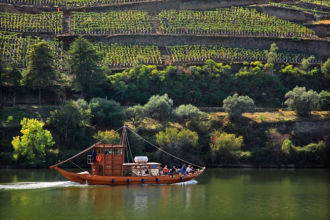 Douro Valley Tour: Wine Tasting, Cruise and Lunch from Porto - The one-hour Douro River cruise