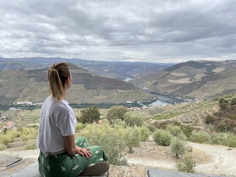 Douro Valley: Tour with Wine Tastings, Lunch, and Boat Ride - Who should book this tour