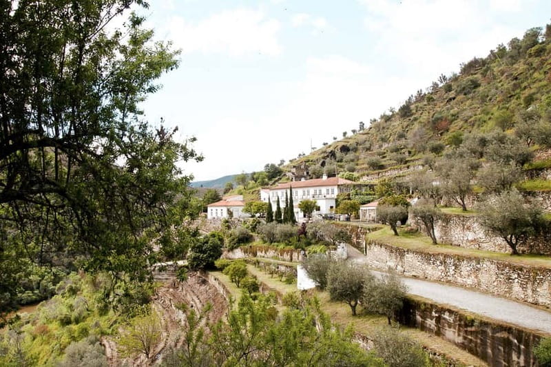 Douro Valley: Tour with Wine Tastings, Lunch, and Boat Ride - Pinhão and the one-hour Douro River cruise